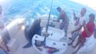 Cette Otarie saute dans le bateau de potes en train de pêcher pour manger quelques poissons !