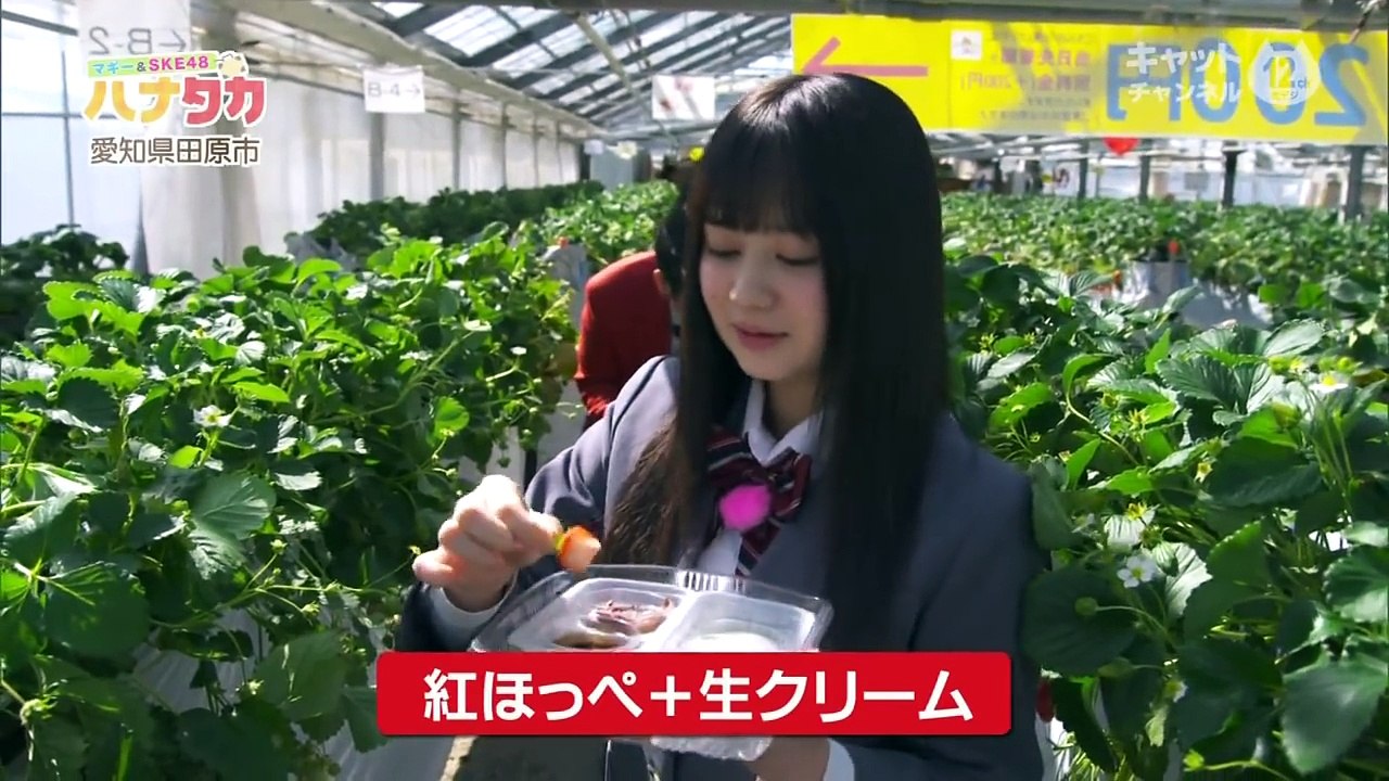 17/4/1 マギー＆SKE48のハナタカ　江籠裕奈