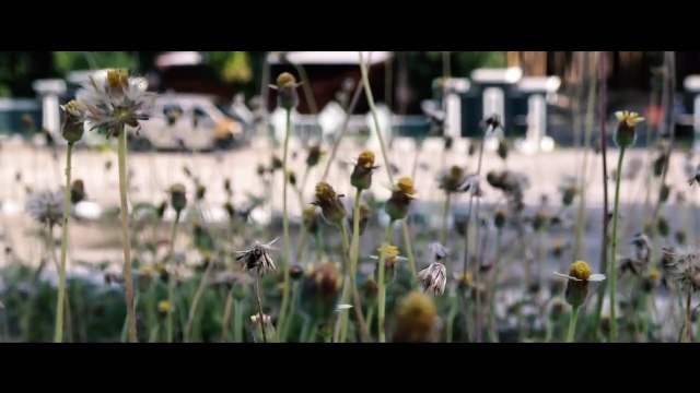 Falling Down nasheed by Nadeem Mohammed (english nasheeds without music)