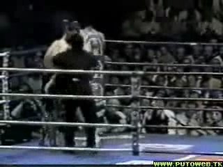 Mirko CroCop Vs Andy Hug 2000