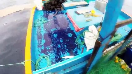 ☑️ Como Encarnar Pez Volador CEBO VIVO para PESCAR Pericos Mahi mahi (Exocoetidae)