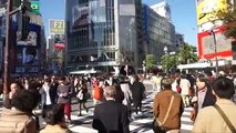 Shibuya Crossing, Anime & Food Tokyo Japan