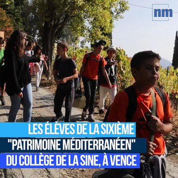 Les 6e de Vence dans les vignes des romains à Saint-Jeannet