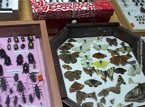 Više od stotinu učesnika na 4. Noći istraživača u Boru, 30. septembar 2017. (RTV Bor)