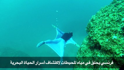 فرنسي يحلق في مياه المحيطات لاكتشاف أسرار الحياة البحرية