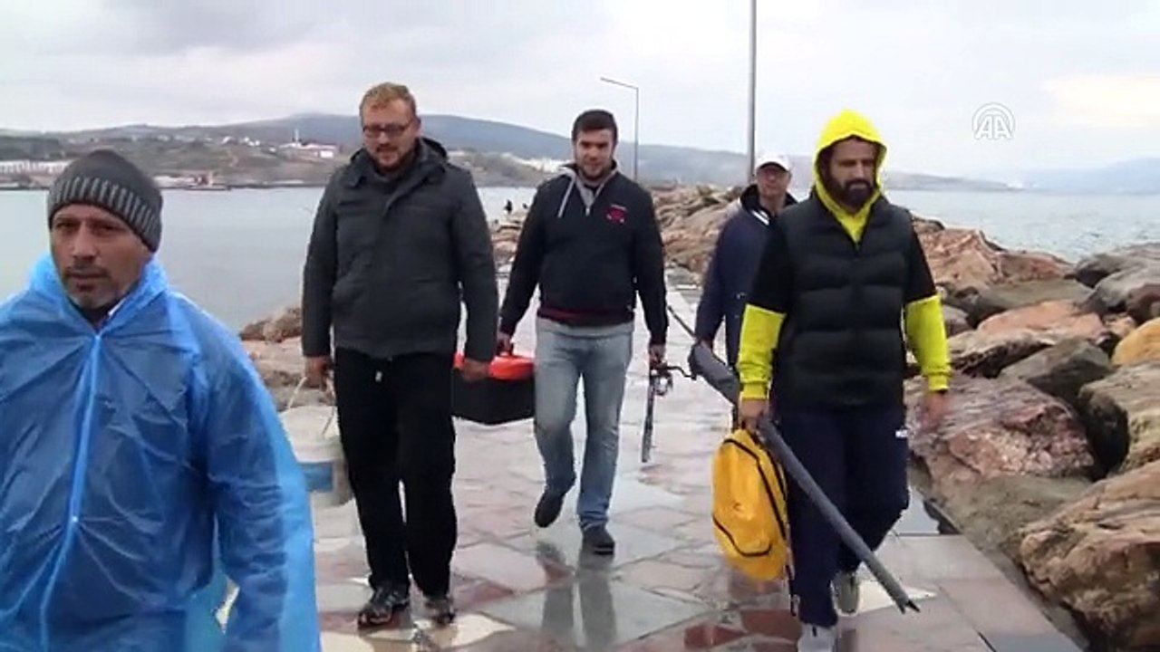 Bandırma Limanı'nda Palamut Bolluğu