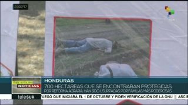 Honduras: denuncian persecución contra campesinos en el Bajo Aguán