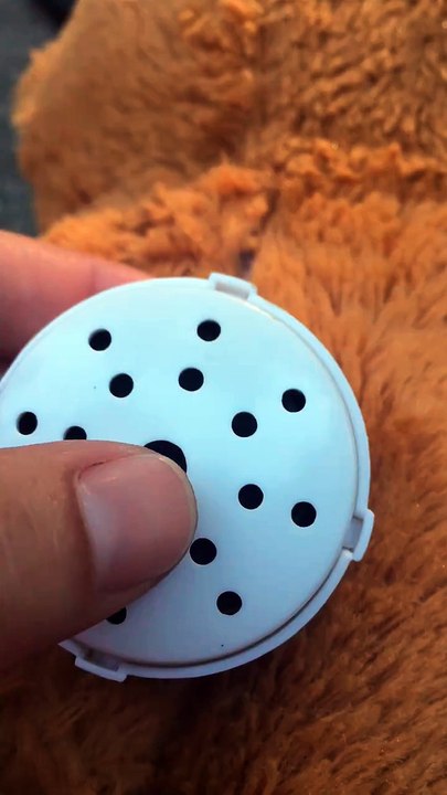 Mom Buys Old Teddy Bear From Garage Sale, Her Heart Drops When She Hears It Talk