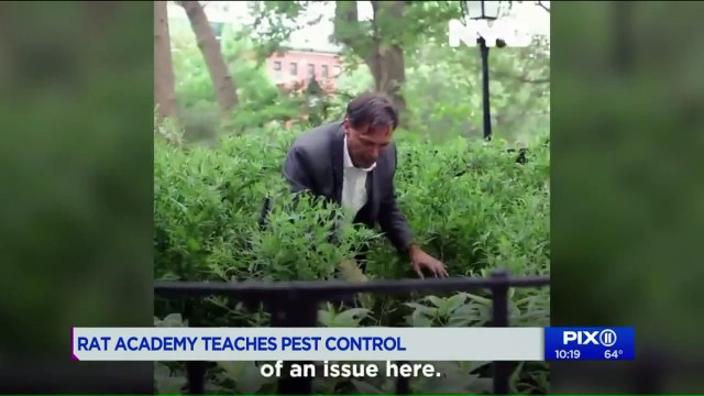 New York Mayor de Blasio Announces $750K Plan to Fight City`s Rat Problem