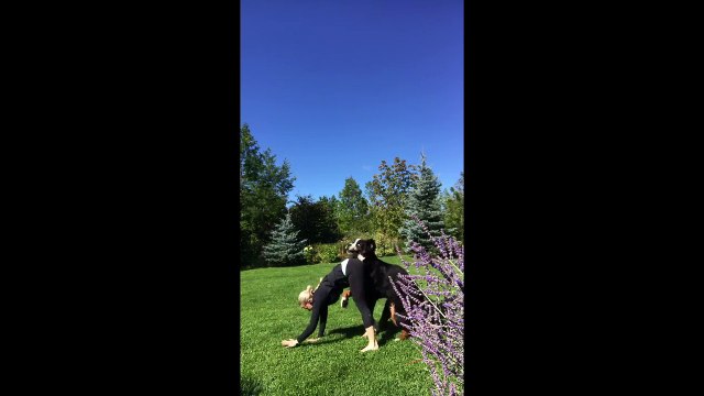 Session de Yoga dans le jardin.. sabotée par ce gros chien lol
