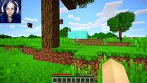 MINECRAFT DE CABEÇA PARA BAIXO! (MINECRAFT)