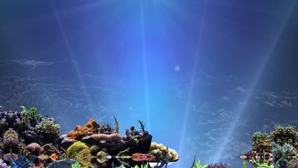 Cosmétiques Anti-âge au Caviar