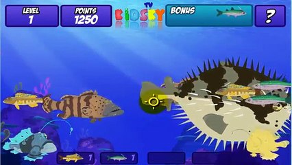 Wild Kratts Frogfish Feast (Pbs Kids Games) Gameplay videos - Animated Cartoon 2017