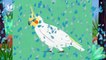 Baby Play ANIMAL MATCH UP - Learn Animal Names Combined Real Animals - Fun Babies & Kids Games