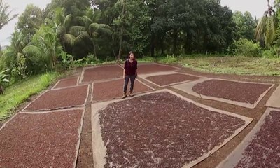 Cengkeh, Pemicu Pertikaian Dua Bangsa