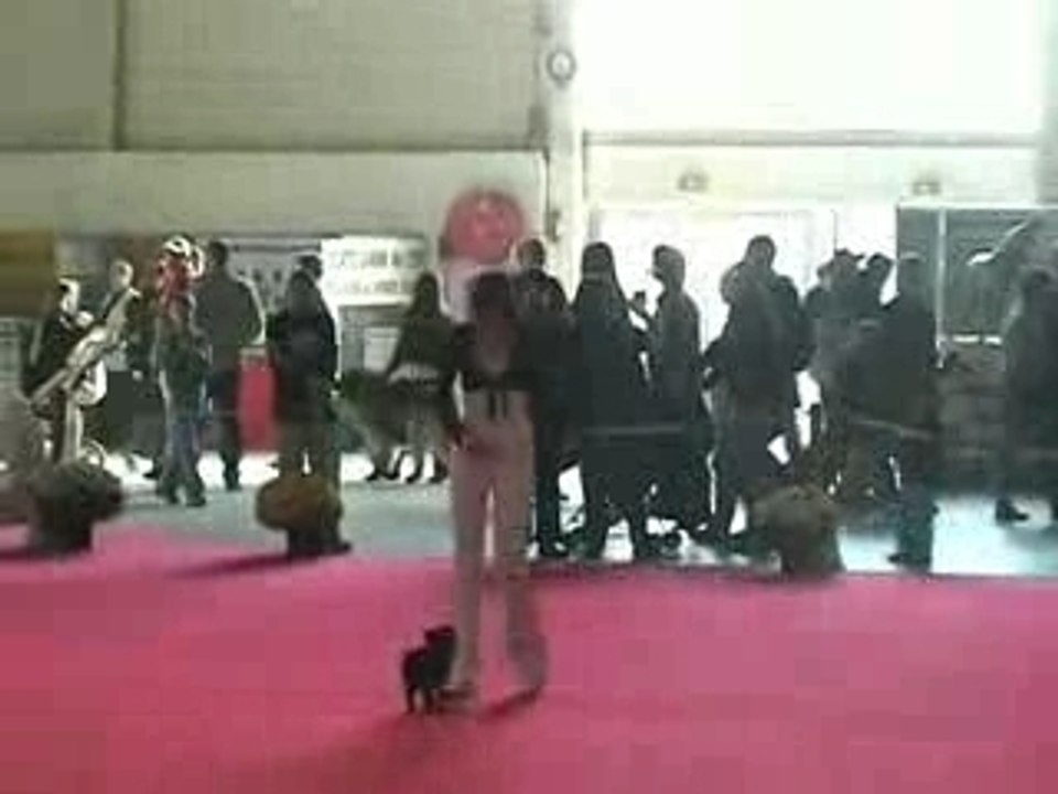 Bridget démo Obé-rythmée Metz 04.11.07