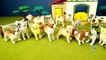 Toy Pet Animals 3D Puzzles Collection Dogs Cats Horse │Animal Toys For Kids