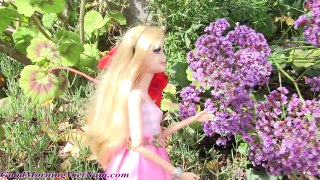Cuộc Sống Barbie & Ken (Mùa 2) Tập 2 Barbie Bị Bắt Cóc/ Barbie Get Kidnaped