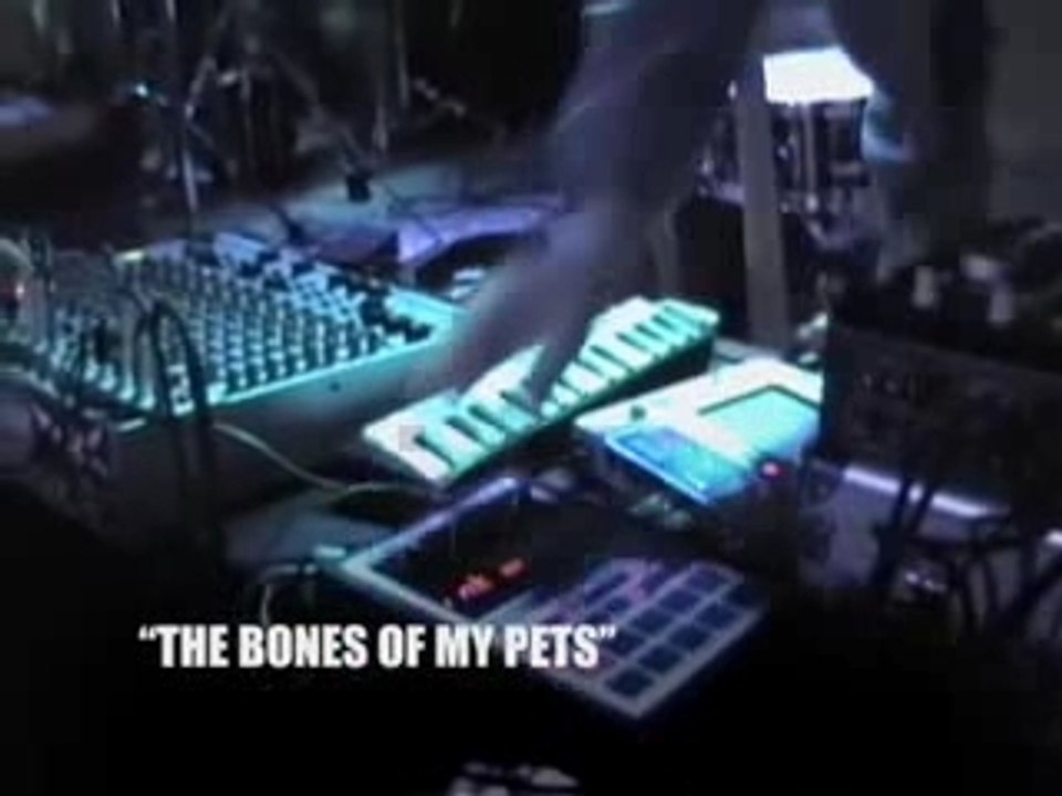 Introducing Sole and the Skyrider Band