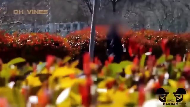 Funny Videos That Make You Laugh So Hard You Cry Compilation Try Not To Laugh Best Part 10