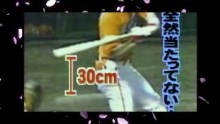 【プロ野球】珍プレー好プレー（審判編）【最強オモシロ動画チャンネル】