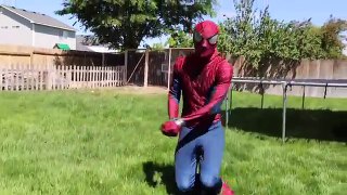 Spiderman vs Bane and Killer Monkey | Real Life! Superhero Movie