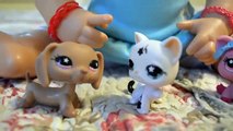Baby Alive Molly Has Her Toys STOLEN! - Who took Mollys Littlest Pet Shop Toys?