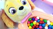Best Learn Colors Video Baby Skye PAW PATROL, Mr. Doh Eats McDonalds Happy Meal and Gumballs