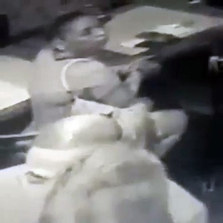Capturada robando en New York, Hija del Mayimbe...