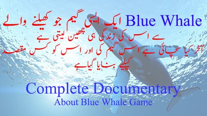 Blue Whale Game Explained: The Deadly Challenge You Need to Know 😱
