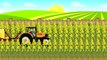 ☻ Fairy Trors | Farm Work - Harvest of colza | Traktory, praca na Farmie - Zbiór Rzepaku ☻
