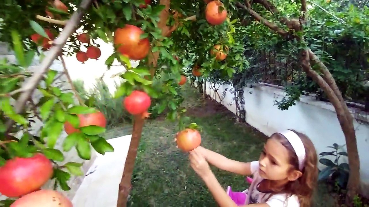 elifn yeni bebek arabası ile bahçede gezinti Nar topluyoruz. bebişte bizimle