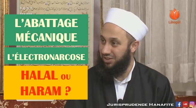 Abattage mécanique, abattage avec électronarcose | Shaykh Fatih Kalender