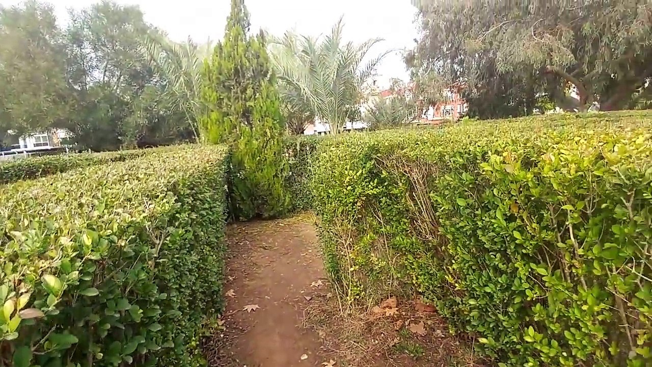 Elif ile ahşap parkta oyunlar, saklambaç oynadık, eğlenceli çocuk videosu