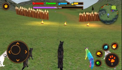 Clan of Wolf (by Wild Foot Games) Android Gameplay [HD]