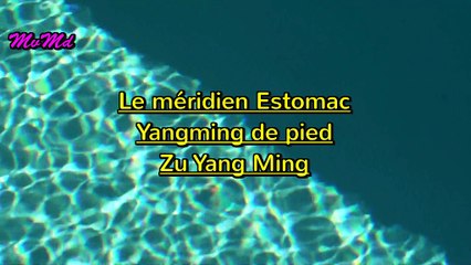 2012-09 démo3  Yangming de pied