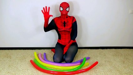 Rainbow Balloons Spider man Collection Learn Colours Balloon Finger Nursery Compilation kid song
