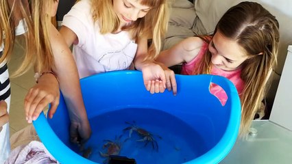 ¿QUÉ HAY EN LA CAJA? / WHAT´S IN THE BOX CHALLENGE -SuperGuay