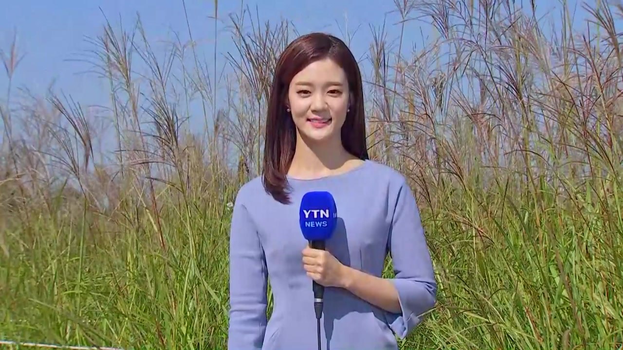 [날씨] 내륙은 쾌청, 해상 높은 물결...곳곳 풍랑특보 / YTN