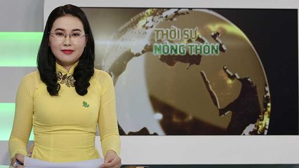 Thời sự nông thôn-21/10/2017