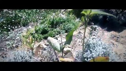 Army Men: Modern Warfare | Plastic Apocalypse