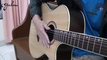 Akustik Gitar - Teknik Slap