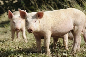 Particularités de 7 états des Etats-Unis... Etrange !