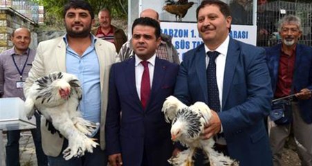 Trabzon'da Otomobil Fiyatına Tavuk ve Horoz Satıldı