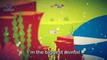 Whoosh, Blue Whale - Blue Whale - Animal Songs - Pinkfong song for Children