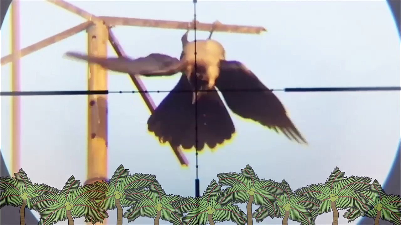 pcp p10 airgun pest bird crow shooting