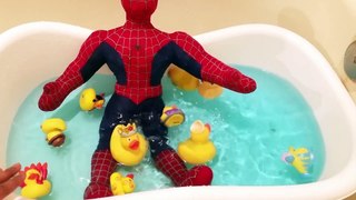 Baby Finger Family Song   Learn Colors With Spiderbaby Bath Time   Wet Balloons Nursery Rhymes