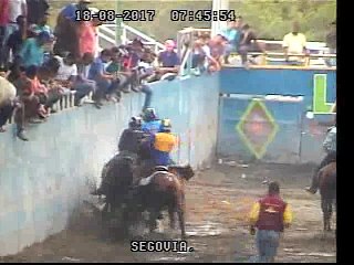 campeonato nacional de coleo cat. B 2017. viernes 03_1