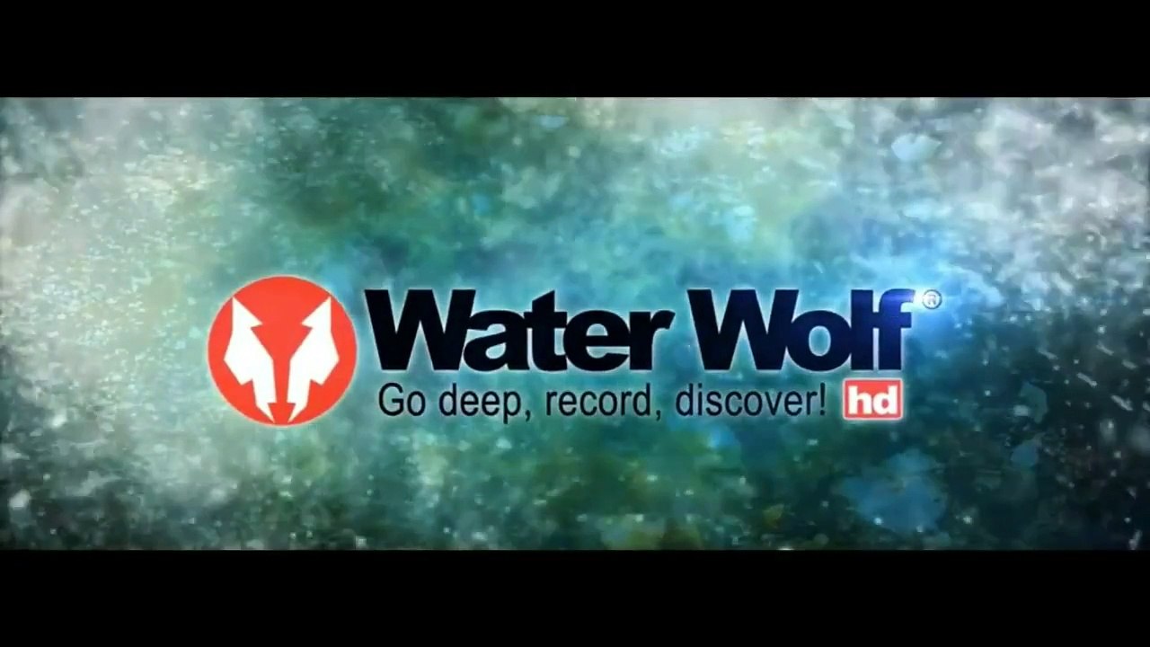 Fishing Lures Bait Alternatives-RAPALA LIVE ACTION