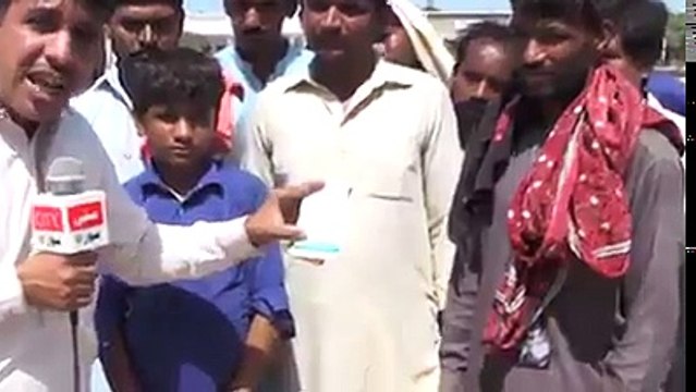 Pakistani Media has gone to the extreme. Talking non-sense. Talking about Donkeys.